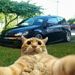 Андрей Некрасов, 31.12, Los Angeles