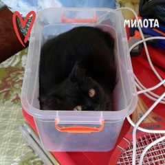 Сергей Аниськин, 22.05, Самара