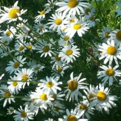 Елена Земскова, 21.02.1975, Санкт-Петербург