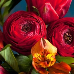 Анна Ангелова, 21.03, Красноярск