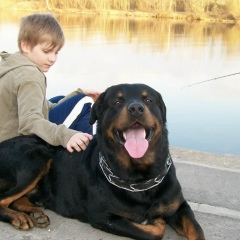 Серёжа Можаев, 20.06.1999, Москва