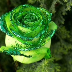 Виктория Заворина, 14.12