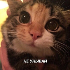 Дмитрий Рудых, 29.02.1988, Москва