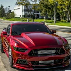 Dima Slavgorodsky, Северодонецк