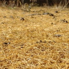 Вадим Сергиенко