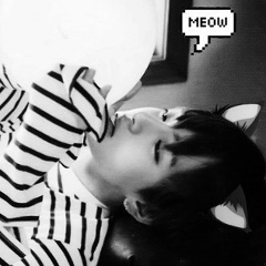 Анастасия Николаенкова, Мурманск