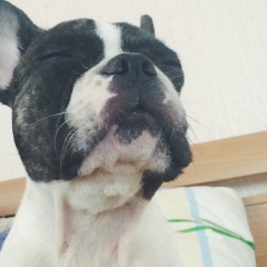 Дана Шарипова, 22.06, Valparaiso