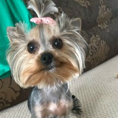 Данил Староносов, 30.11.2004