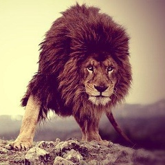 Алавди Джебиров, 09.12, Нижневартовск