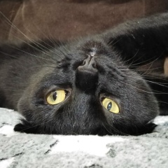 Катька Петрушичева, 30.11.1981, Санкт-Петербург