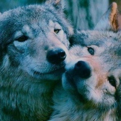 Сергей Лобаков, 01.02, Москва