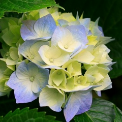 Омурзак Акканов, 09.08.1992, Джалал-Абад