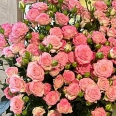 Ирина Долженкова, 03.05, Курск