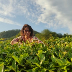 Анна Кириллова, Коломна