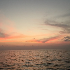 Pavel Nekhoroshkov, 18.03, Москва