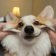 Камила Омирханова, 26.01.1996, Алматы