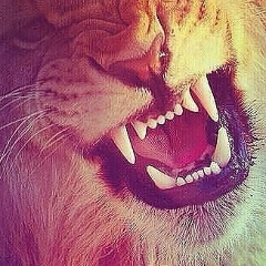 Раббани Гиназов, 02.04.1995