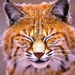 Наталия Браткова