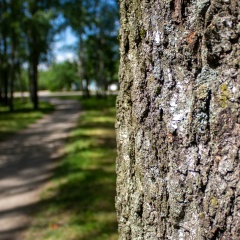 Алексей Шиманович, 02.07.1982, Новозыбков