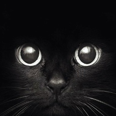 Антон Баритон, 01.07.1981, Екатеринбург