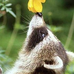 Янина Фогель, 02.07.1980, Харьков