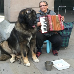 Мария Андриенко, 15.07.1984, Екатеринбург