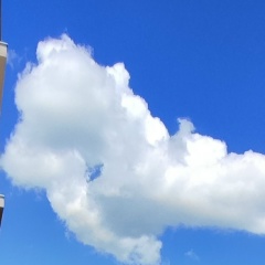 Seiran Karamanov, 08.03, Джанкой