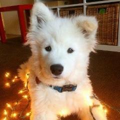 Лаура Калиева, 03.01.1984, Актобе