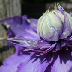 Мадина Сарманбетова, 07.10.1978, Алматы