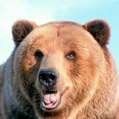 Вадим Гавришев, Коканд