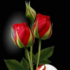 Ирина Кошкина, 15.01.1968, Вятские Поляны