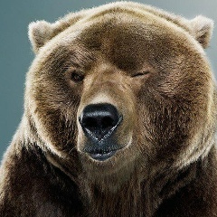 Михаил Строкач, 18.12.1980, Некрасовский