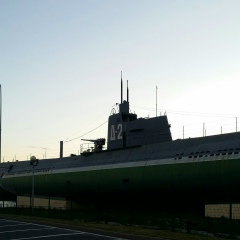 Zamir Zamir, 05.02.1990, Санкт-Петербург