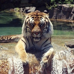 Ерасыл Кабатанов, 18.01, Алматы