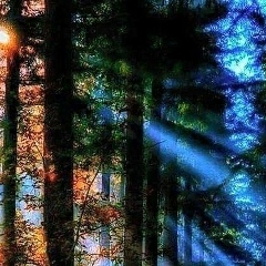 Альбина Раимкулова, 31.10, Самара