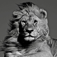 Ибрагим Алиев, 23.08, Санкт-Петербург