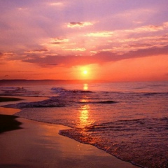 Алексей Леонидов, 24.02.1905, Париж