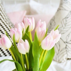 Ainura Nur, Тараз