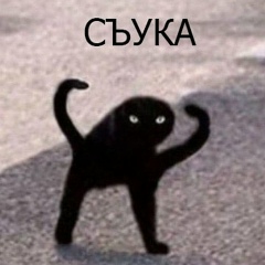 Кириллко Коршунов, 15.08.1989, Санкт-Петербург