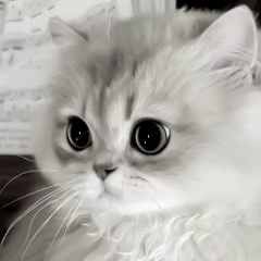 Наталья Безменова, Санкт-Петербург