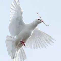 Марина Верещагина, 17.04, Санкт-Петербург