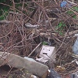 Максим Куклин, 01.05, Вологда