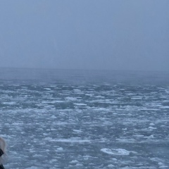 Таня Салтыкова, 16.08, Ангарск