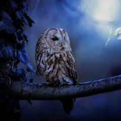 Любовь Симоненко, 18.04, Санкт-Петербург