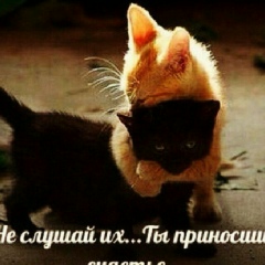 Апти Магомадов, 22.04.1989, Berlin