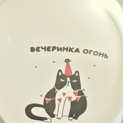 Константин Коновалков, 27.11, Киров