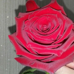 Гульмира Айкимбаева, Астана