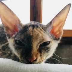 Ирина Козловская, 08.08.1974, Санкт-Петербург