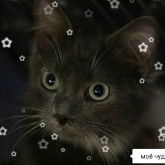 Ксения Зубковская, 12.04