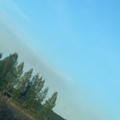 Анастасия Ковалева